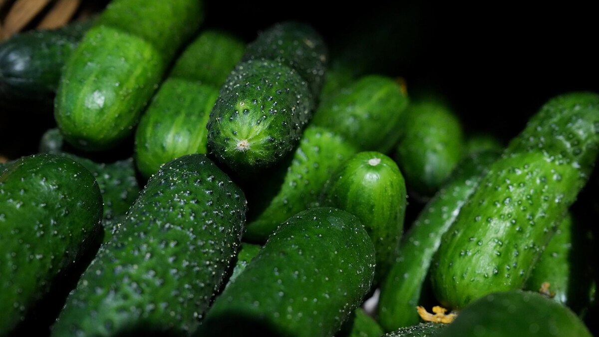 Фото: ИЗВЕСТИЯ/Дмитрий Коротаев