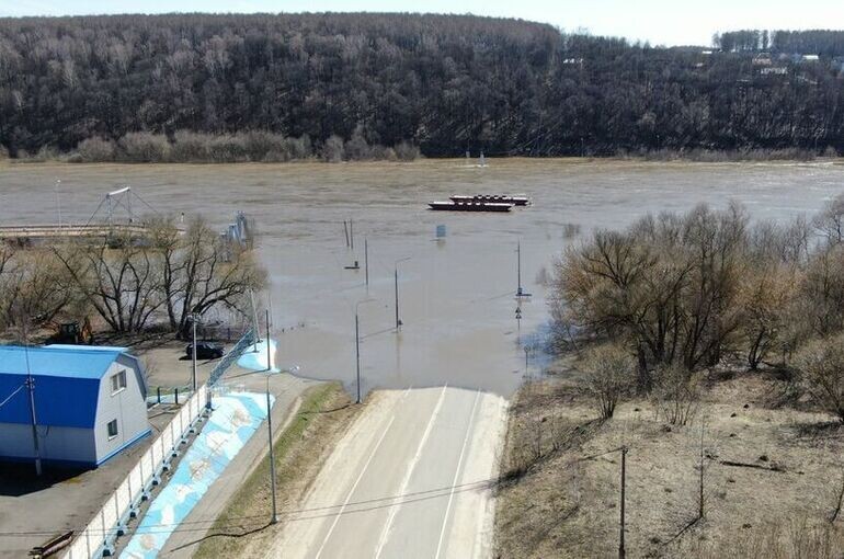   Денис Воронин/Агентство «Москва»