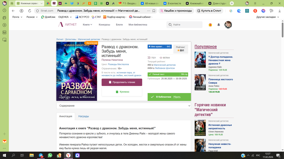 Книга доступна на Литнет