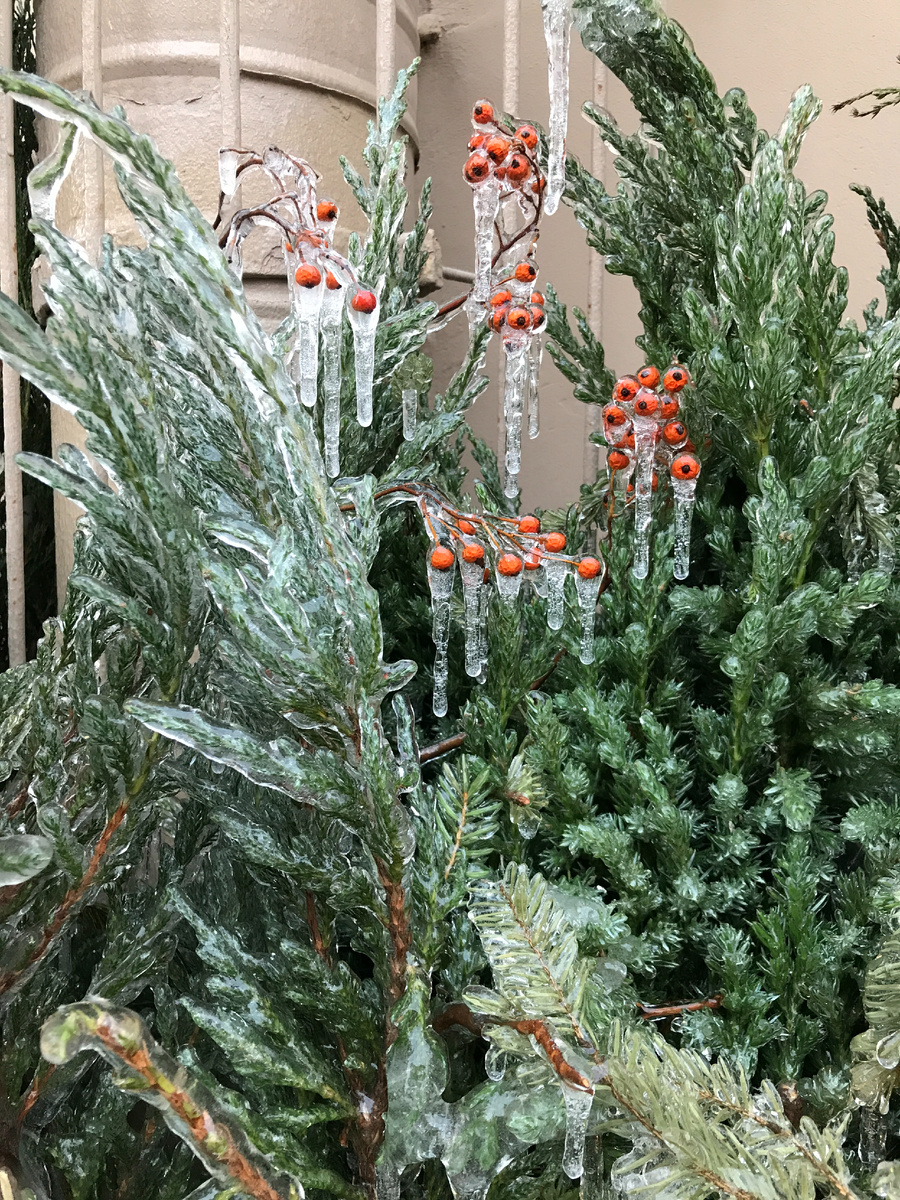 На всех «писательских» улицах (Жуковского, Маяковского, Некрасова) много питейных заведений. Входная группа часто украшена лапником – наверное, это уже до весны