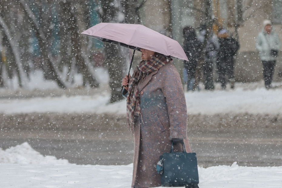    Наталья Шатохина/NEWS.ru