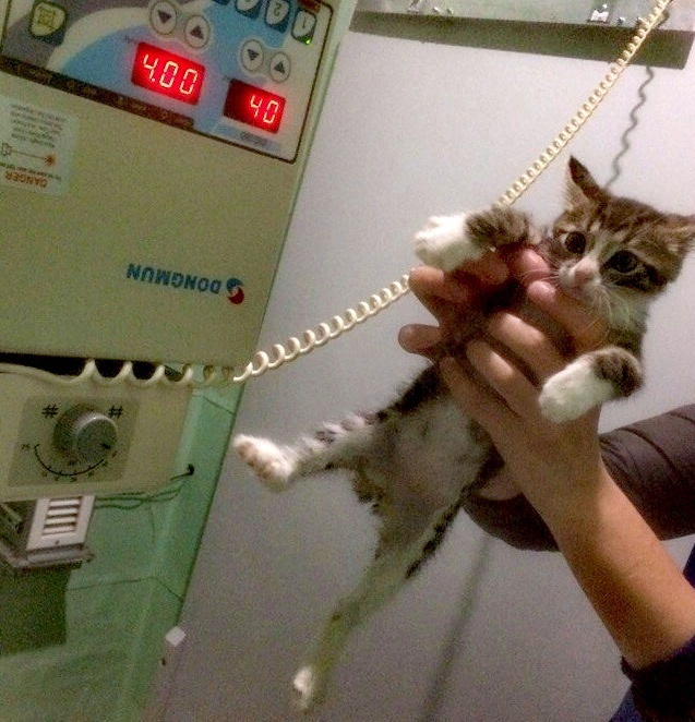 На рентгене