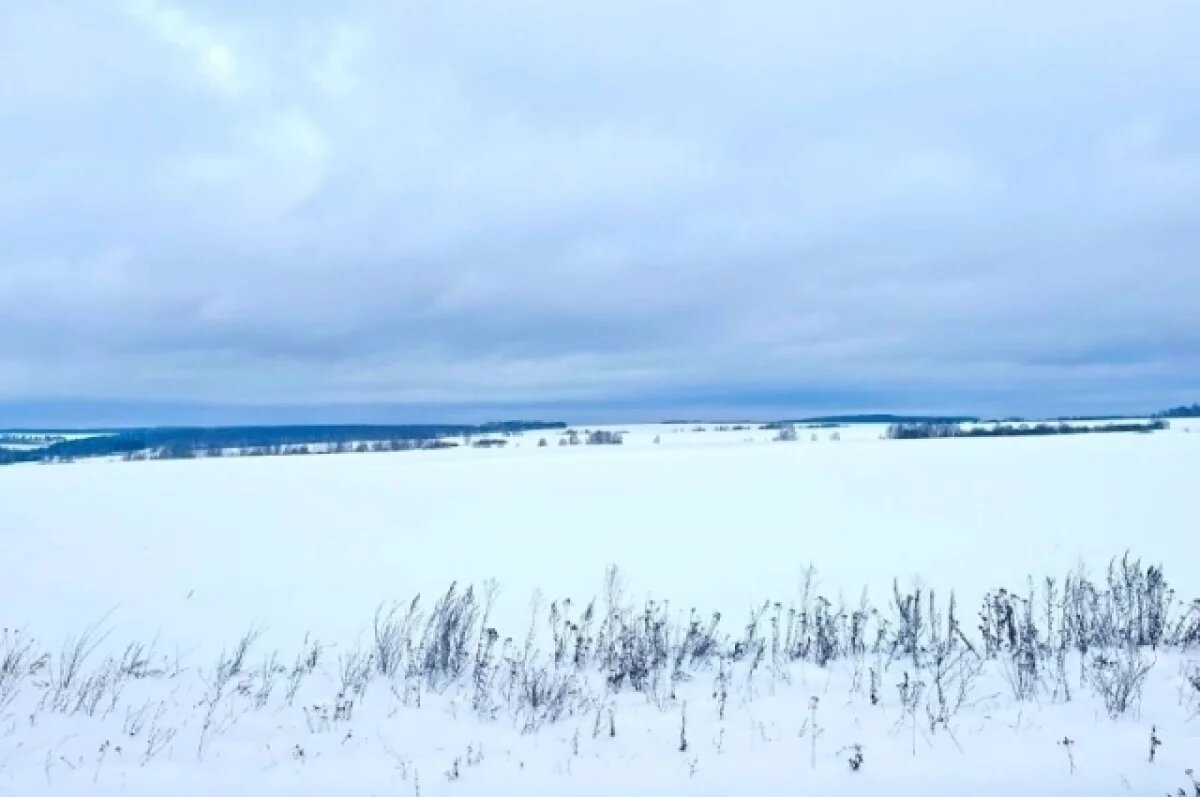    В Туле почва промёрзла незначительно при повышенном влагозапасе снега