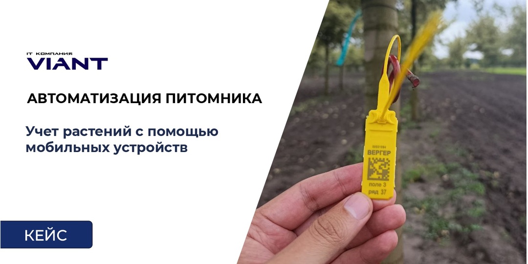 Как навести порядок в учете питомника растений на 100 Гектар. Внедряем QR-коды, ТСД и 1С