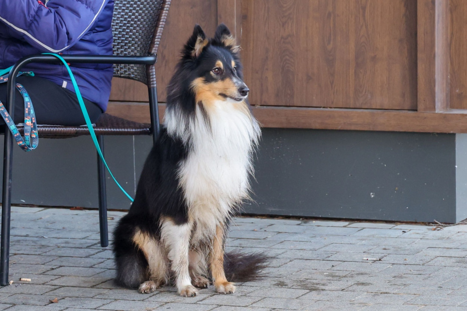    Алексей Белкин/NEWS.ru