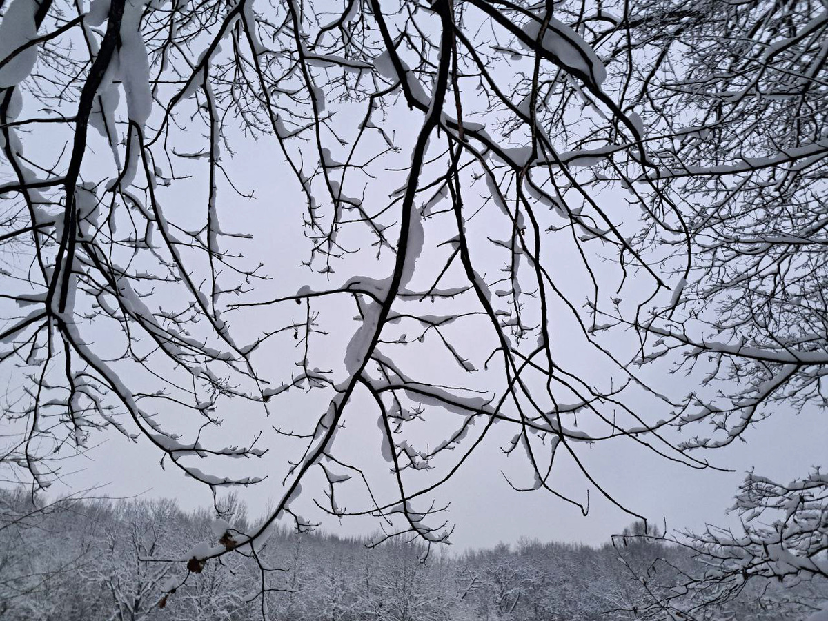 В среду столицу ждет облачная погода и небольшой снег.  Фото: Фото: ФедералПресс / Вера Романескул