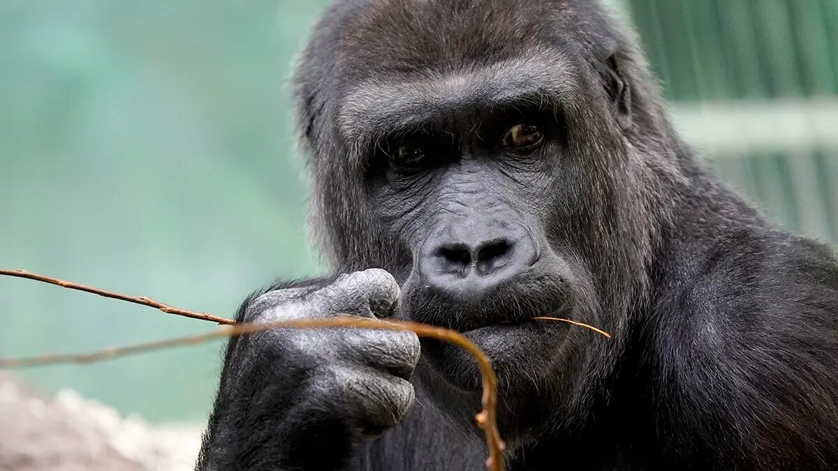    Фото: vm.ru Кира Попова