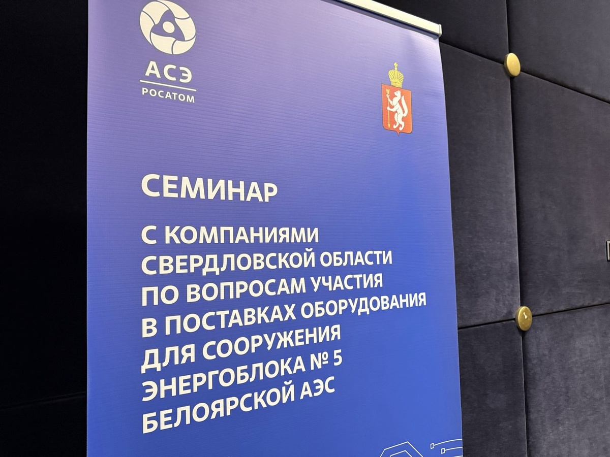 Фото: Департамент информационной политики Свердловской области