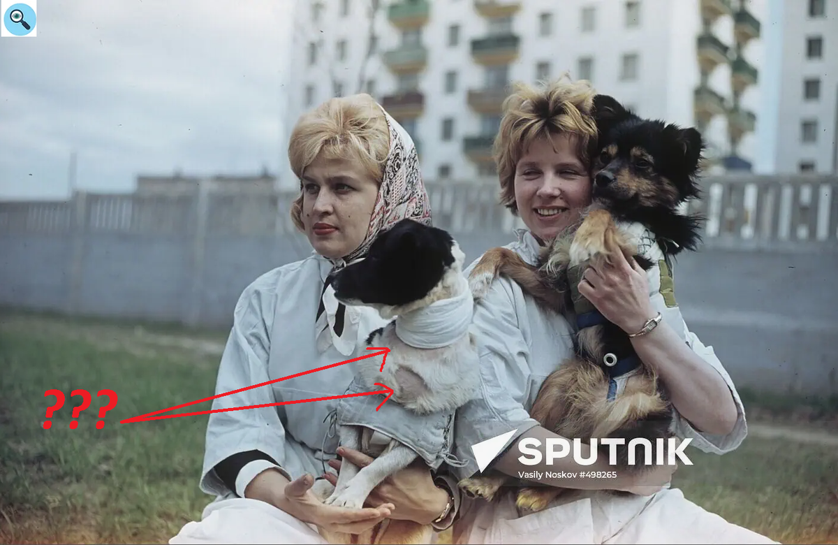 Фото из открытых источников