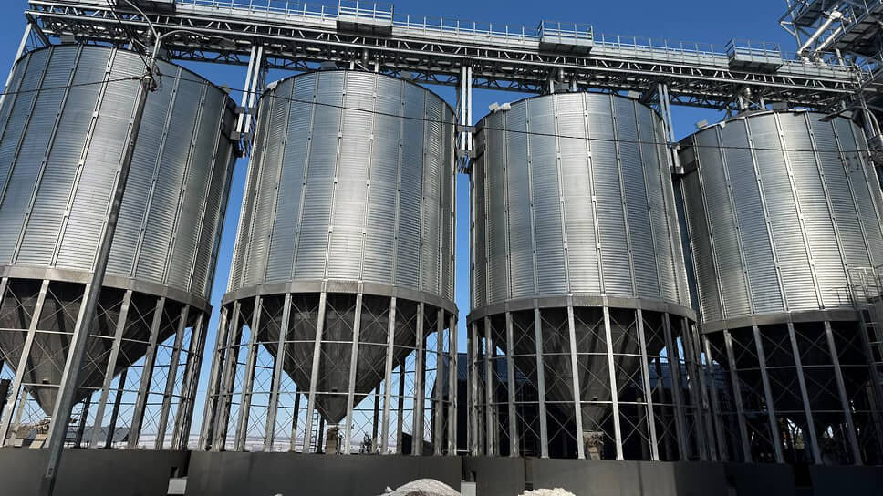 Фото: Пресс-служба губернатора Ростовской области