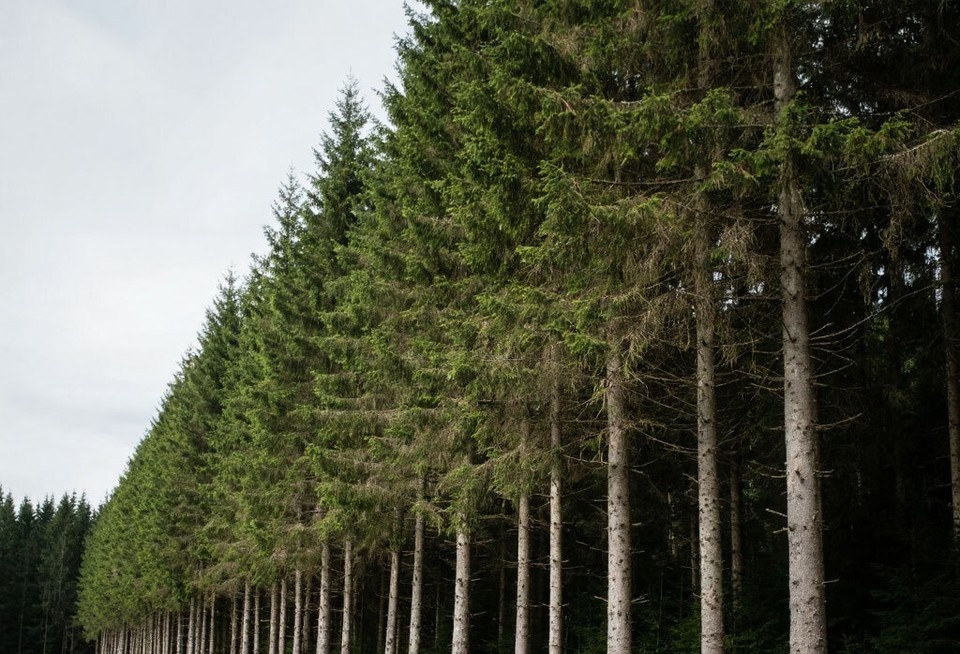    Сумма нанесенного ущерба составила почти два миллиона рублей. Фото: создано нейросетью