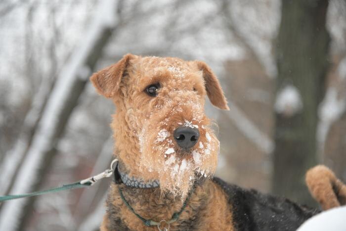 Обложка © Life.ru