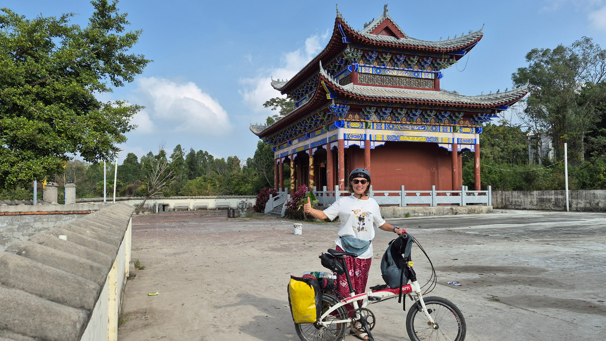 Мой велосипед летает со мной с марта 2018 года, tern link d8