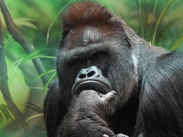    Фото: пресс-служба департамента культуры города Москвы