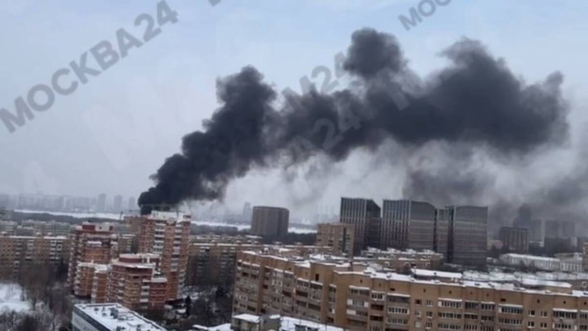    Фото: Скрин: Telegram-канал «Москва 24»