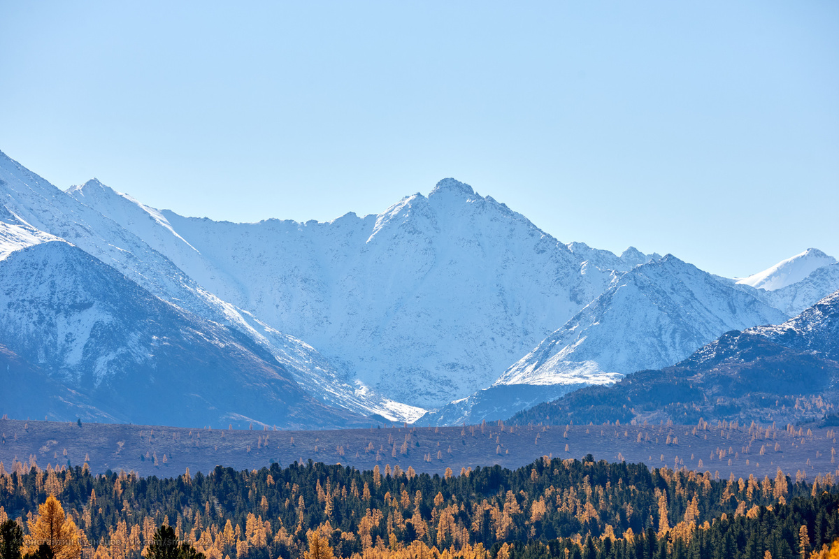 Снежные горы Алтая