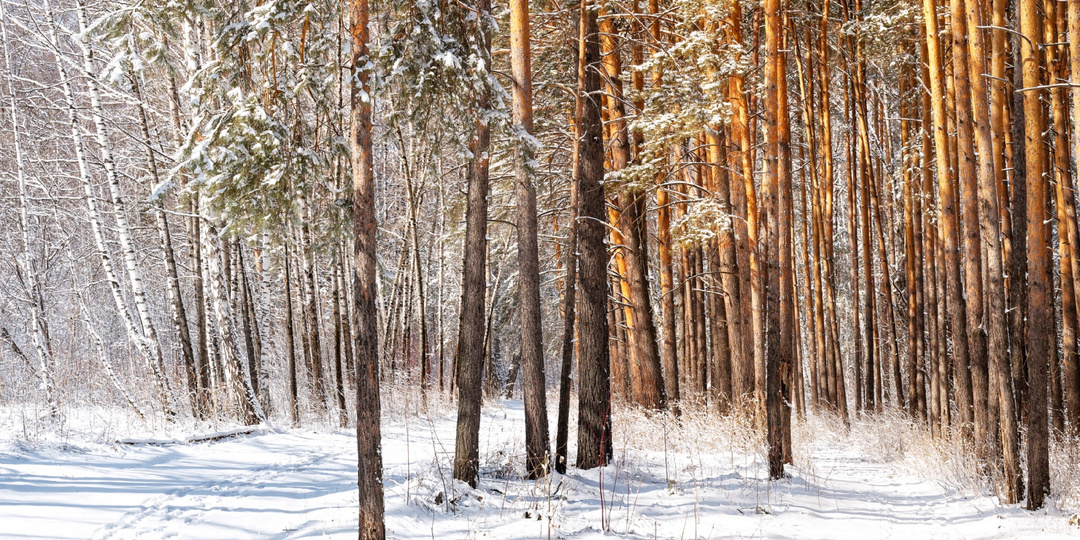 Зимние забавы матушки-природы