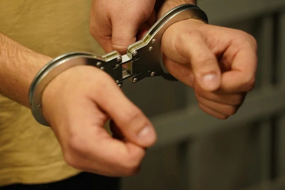   Светлана МАКОВЕЕВА