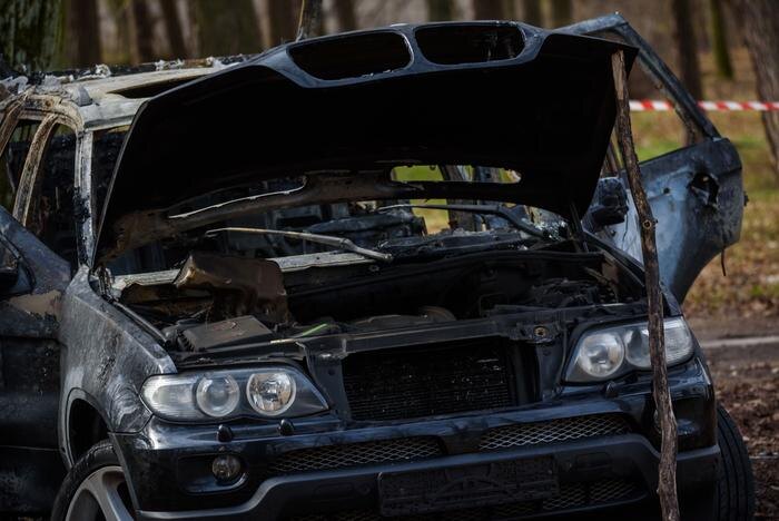 Обложка © Shutterstock / FOTODOM / Gints Ivuskans