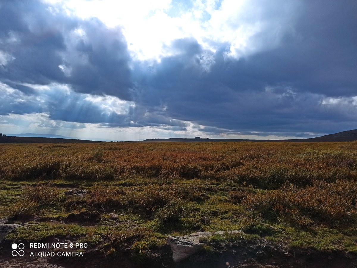 На Алтае, недалеко от озера Манас