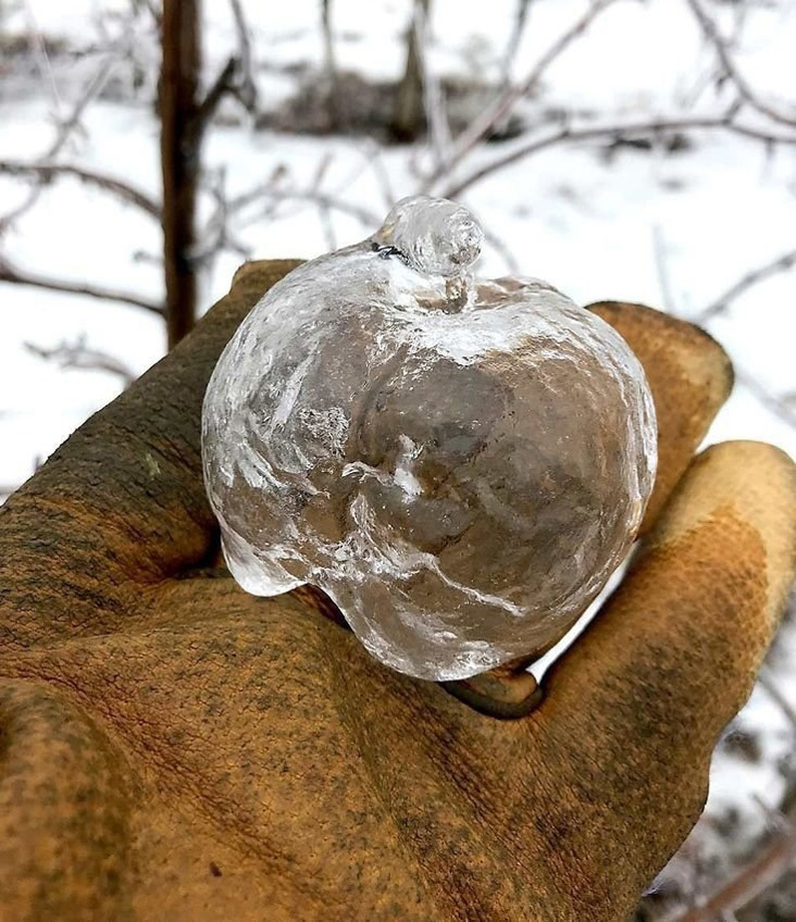 Ледяная оболочка 