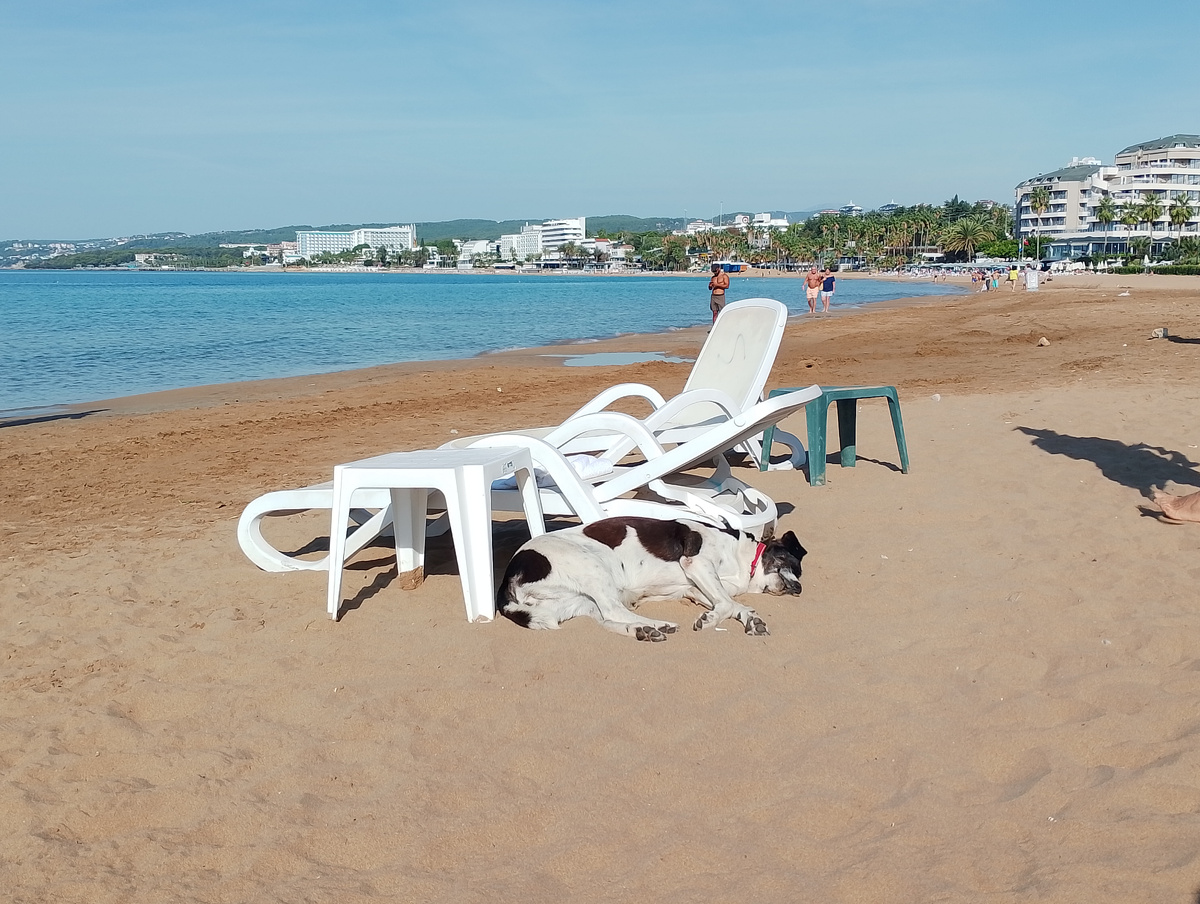 Вот такой коан в визуальной форме. (На самом деле Платформа требубет вставить какую-нибудь картинку - вот я и вставил какую-нибудь).