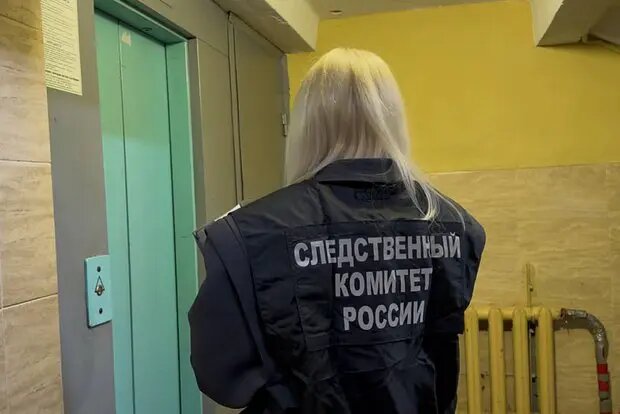    Фото: lenta.ru Павел Евсеев