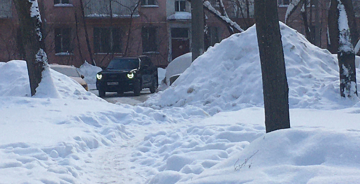Все фото в данном посте сделаны его автором в Москве в январе 2026 г.