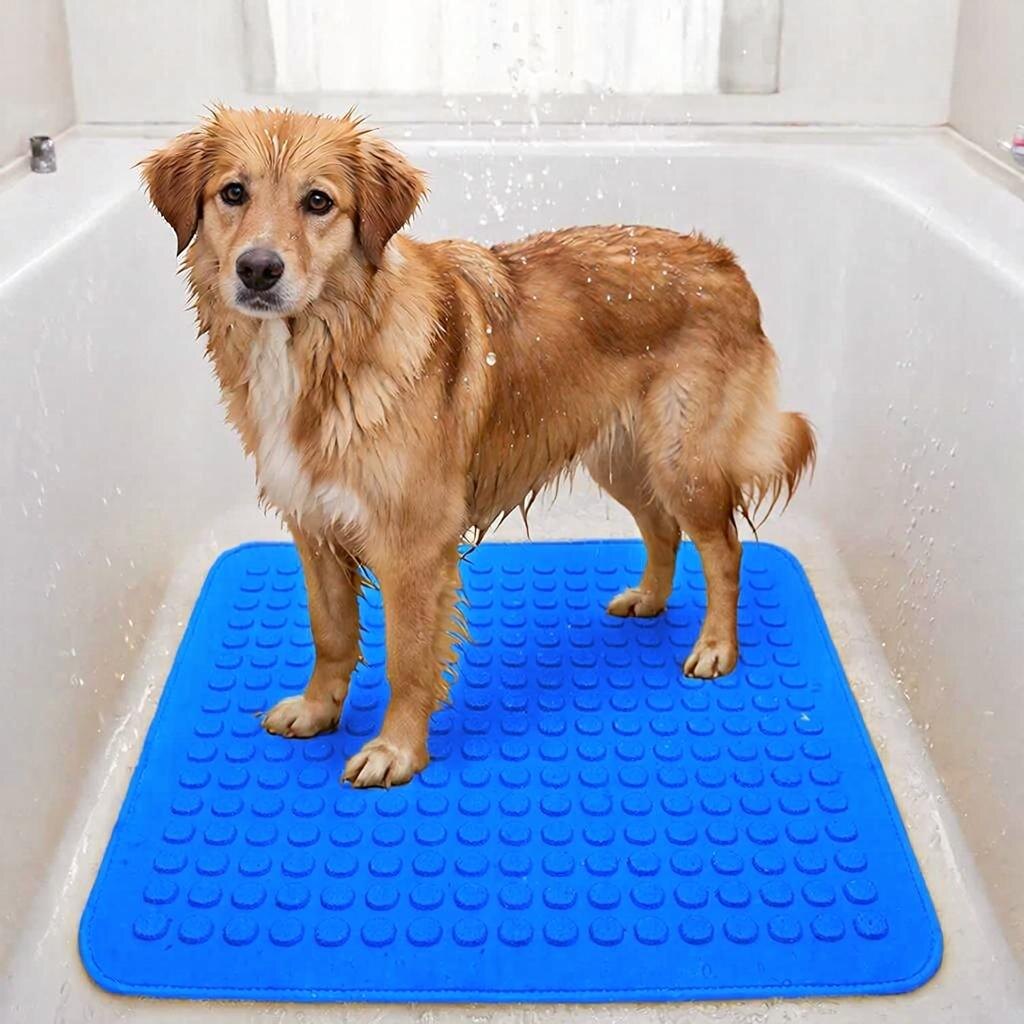 "Теперь мне не скользко!"