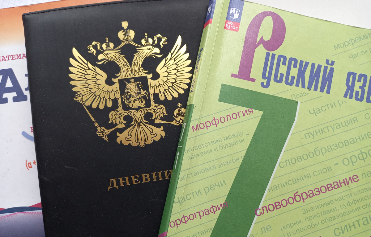 Учебники семиклассника. Фото автора.