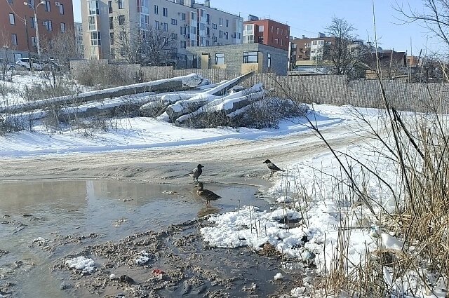   Фото: соцсети./ Родниковая Долина