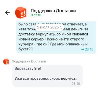 Переписка с ботом в чате техподдержки Yandex Go