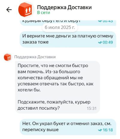 Переписка с ботом в чате техподдержки Yandex Go