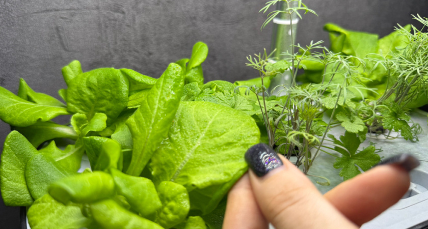    Автор фото — Анастасия Козлова