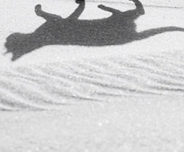 Картинка из интернета