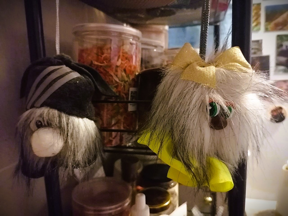 Вот эта сладкая парочка. Такие живут у нас на кухне. Домовой приехал из Новосибирска два года назад. Домовиха - прошлым летом. Фото автора