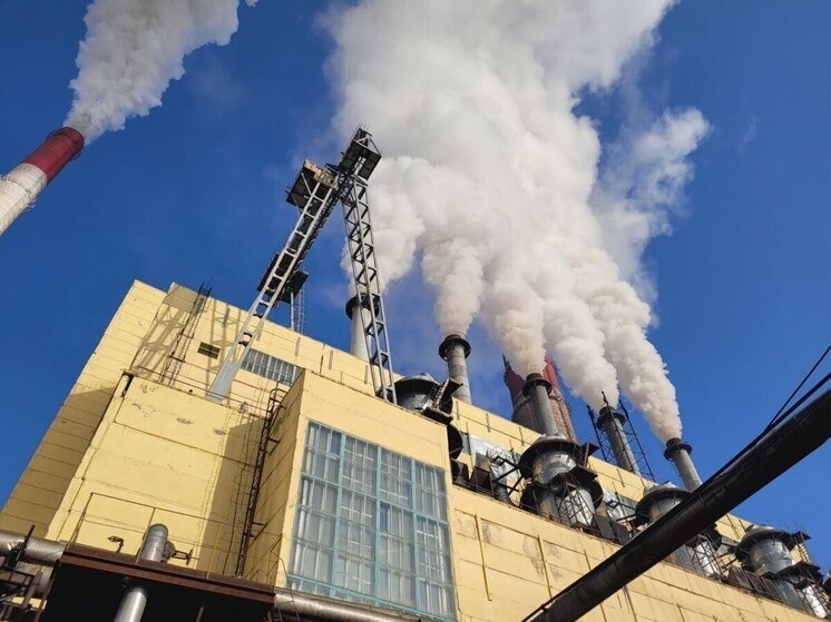     Фото: Минэкологии Красноярского края