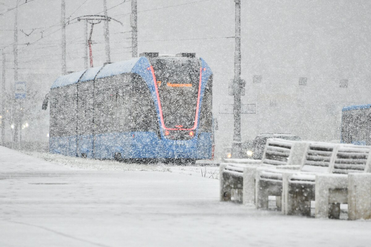 Фото взято из открытого источника