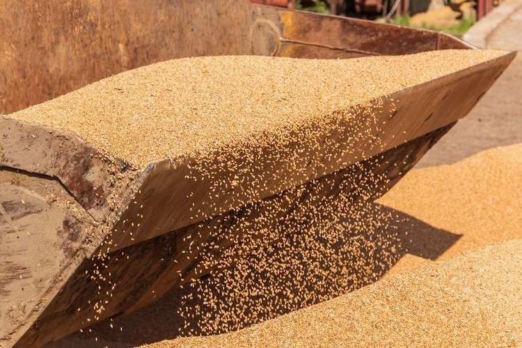    Фото: Минсельхоз Иркутской области