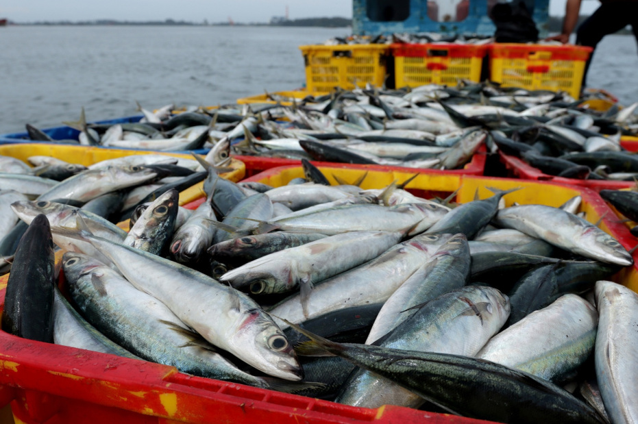    Shutterstock/FOTODOM