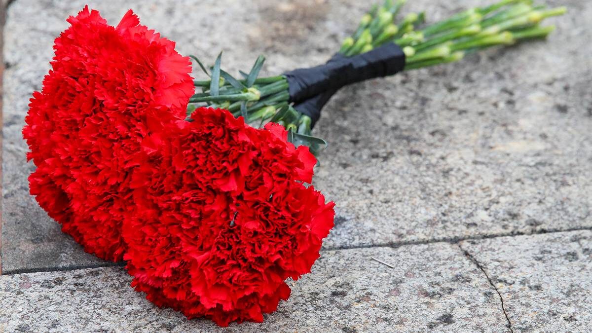    Фото: Василий Кузьмиченок / АГН Москва