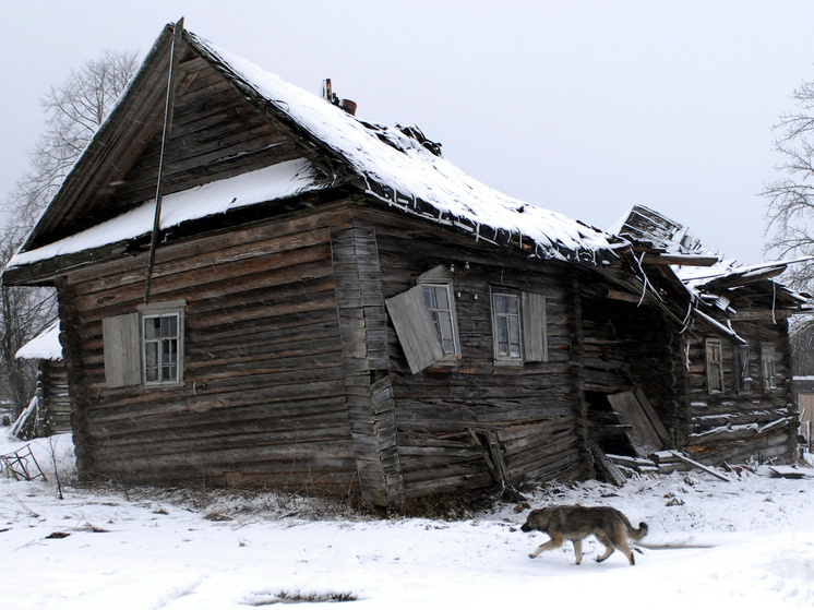     Фото: Александр Астафьев