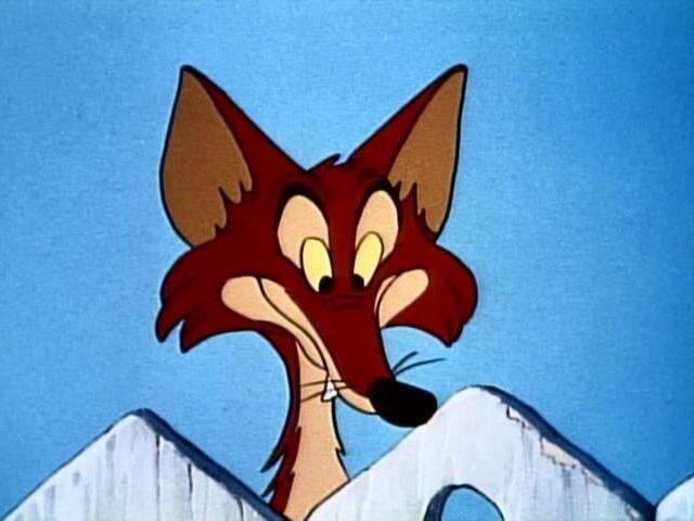 фото взято из открытых источников