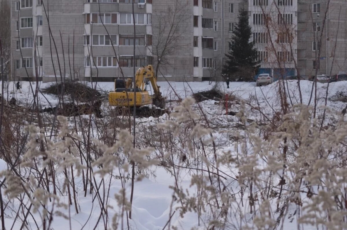    В Заволжском районе Твери начали подготовку к благоустройству зелёной зоны