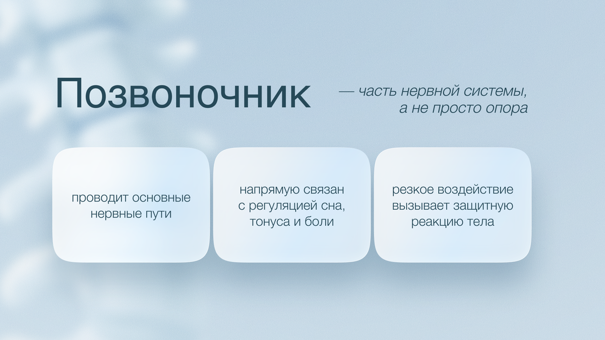 Позвоночник