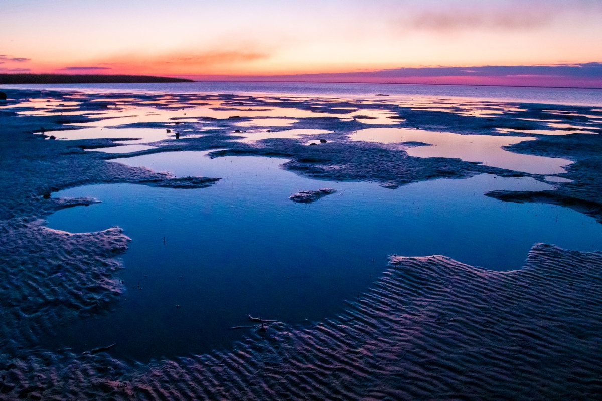 из архива Кавказского заповедника, А.Перевозова