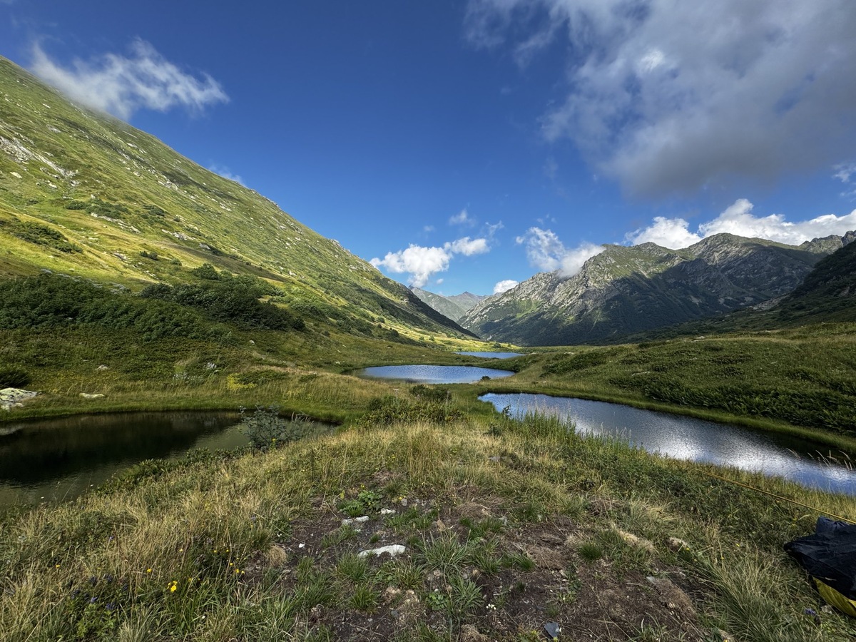 из архива Кавказского заповедника