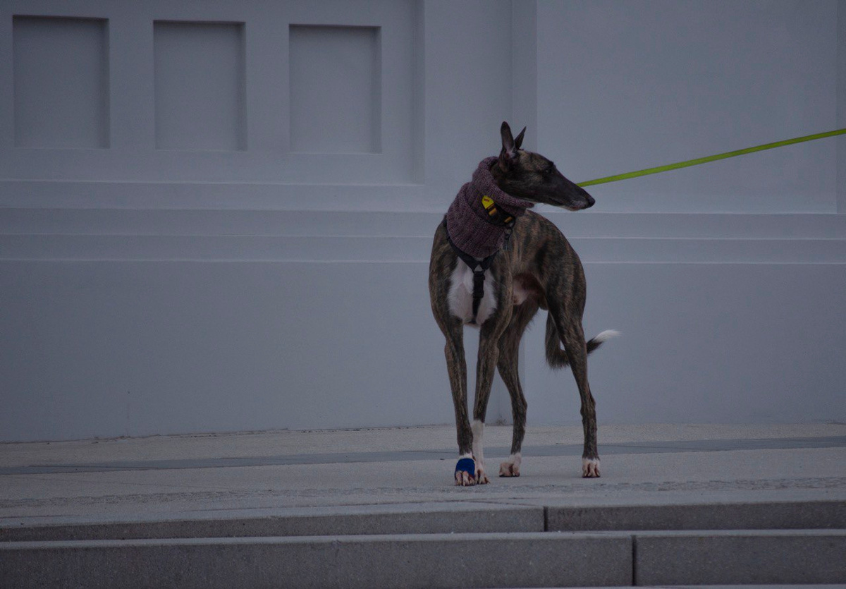     Даниил Князев/«Постньюс»