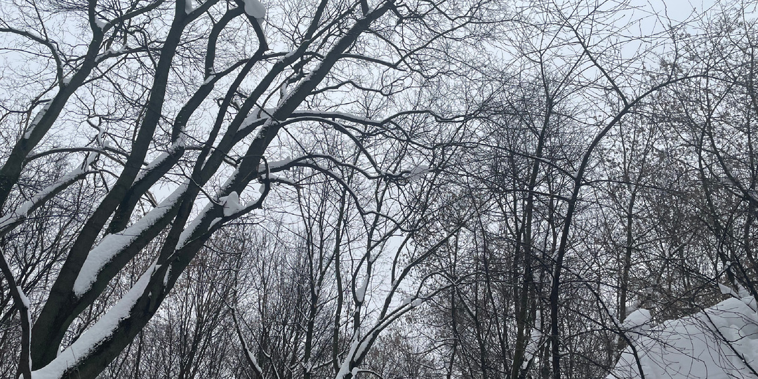 Следует сеять. Ибо сколько вьюге не кружить, не долговечна ее кабала и опала…