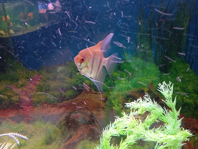 Нижний Новгород, 1 октября 2025